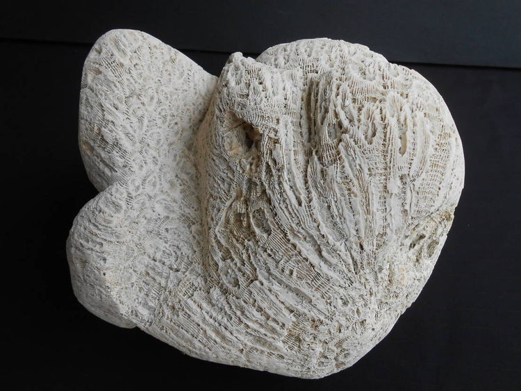 Yoga By the Sea by David Willis - search and link Sculpture with SculptSite.com